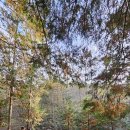 경천애인마을 이미지