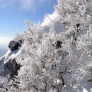 남덕유산(영각사-황점) "설경산행" 1월 30일(토요일) 이미지