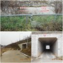 시목회관앞 이미지