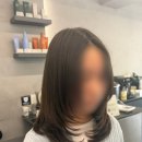 몬시크