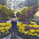 웅상동물병원 이미지