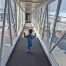 216 | 12월 겨울 제주도 가족여행 이스타항공 ZE209, ZE216 왕복탑승 후기