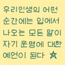 해연반점 | 7월ㅣ일백백, 2024