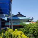 중앙동199 이미지