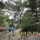 시장토종닭집