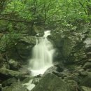 경기도 가평 화악산(1468m)~목포새쳔년 산악회 이미지