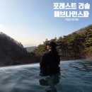 웰리스짐 | 제천 포레스트 리솜 해브나인스파 스톤스파 예약 식당 꿀팁 가득 후기