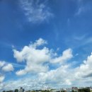 학암 | 학암포나로캠핑장_학암포,신두리 해수욕장 강아지동반 🐶가능한 곳