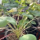 상중농장 이미지