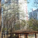 초정마을두산 쌍용아파트 이미지