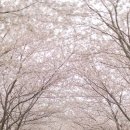 승월경로당 이미지