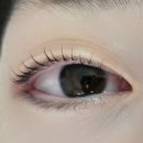 태평역 2번출구 | [태평] 스튜디오가든 | 태평역속눈썹펌 후기, 유지력 좋은 케라틴펌