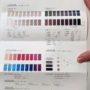 하나로 소프트 | 강남 퍼스널컬러 진단 체형 분석 프로그램 방배 세라 스튜디오 여쿨 소프트 후기