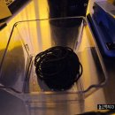 플레이점핑클럽 장검점 | 운동+게임 다 되는 중앙역 이색 체험 [점핑배틀 안산중앙점] 중앙동 놀거리 추천