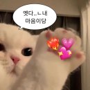 감탄 용현점 | [인천/용현] 인천 용현동 횟집 바다해 - 내돈내산 솔직 후기 🐟