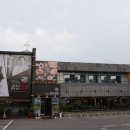 삼수장어 이미지