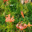 백천농장 이미지