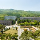 대진대학교 뉴시스