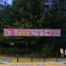 수변공원 (은빛개울공원) | 오산 세교 고인돌공원 장미빛축제 주차장, 푸드트럭 총정리 후기
