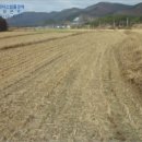 영천시임고면사리보건진료소 네이버블로그