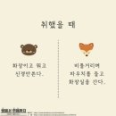 곰과여우