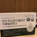 베스트오브그린 | [내돈내산] 속이 편안해지는 정착템, '10억 유산균이 들어간 곡물발효효소' 대용량 가성비&제품력 솔직...