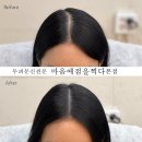 마음에 점을 찍다 이미지