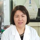 경상대로 이미지