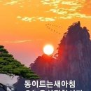 24년 11월 8일 금요일 아침 인사 글 이미지