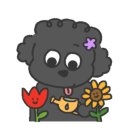 Pet nosh(펫노쉬) 네이버블로그