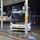 눈길등산로 | 산행 | 대관령휴게소 출발 | 6시간 30분 등산 | 등산로 없어진 역대 가장 힘들었던 정기산행 | 살면서...