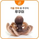 낙지친구 - 제주시 신대로12길 10 | 낙지친구
