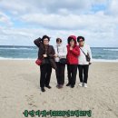 동아리 Daum카페