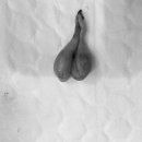 아마존 동물병원 이미지