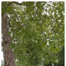 백로산장 이미지