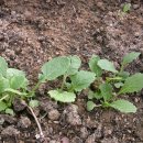 삼동초등학교 이미지