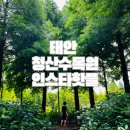 몽산포주차장 이미지