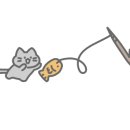 천제연로 이미지