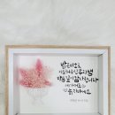 감성톡톡 캘리그라피 이미지