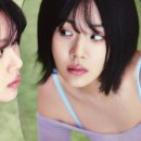 비비전