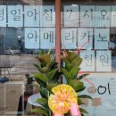 백세다방