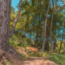 글램핑판 이미지