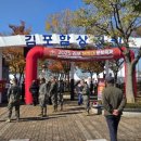 천하 태권도 | 2025 김포 해병대 문화축제! 5살 아이랑 다녀온 후기!