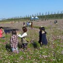 경포저류지 이미지