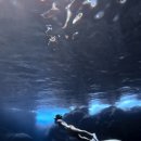 CHA CHA GYM 이미지