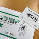 공공용 66 | [SVCA 12기] 서류•면접 후기 &amp; 수원시 공공외교단 발대식 후기