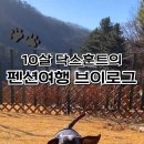캠프위드펫&애견글램핑 네이버블로그