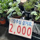 휘게 네이버블로그