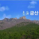 금산 Daum카페