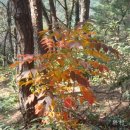 문양이야기 이미지